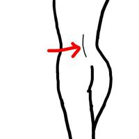 背中の縦の線がはっきりしている人としていない人の違いは何です Yahoo 知恵袋