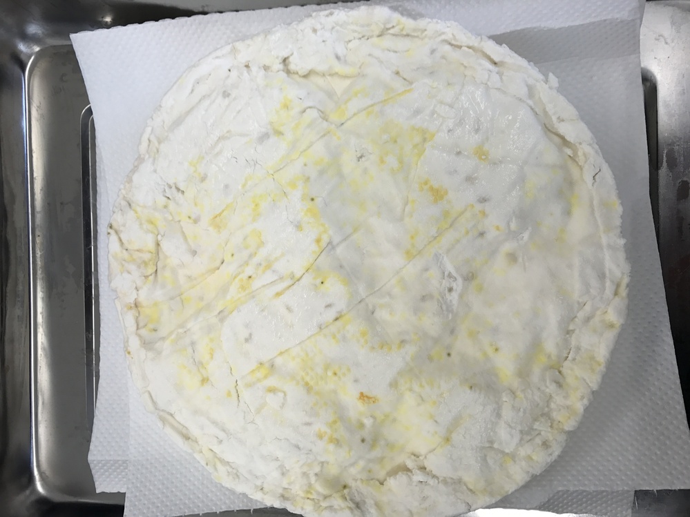 作ったチーズに黄色いカビ？が生えています。これは何ですか？ 
