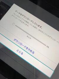 任天堂switchについて質問です 停止中から一向に進みません再起動も Yahoo 知恵袋