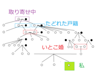私の祖先は 近親婚をしていたようで孫の私達に障害を持った子が生まれました Yahoo 知恵袋