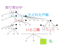 いとこ同士は どうして近親婚になるにもかかわらず 婚姻が可能なの Yahoo 知恵袋