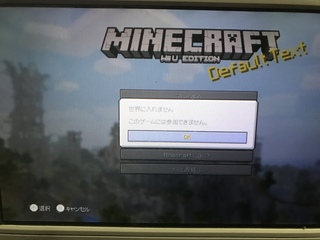 マイクラwiiuです フレンドのワールドに入ろうとしたのですが この Yahoo 知恵袋