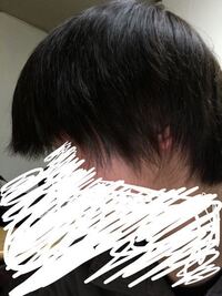 ショートヘアで伸ばしかけです 以前髪を切ってから少し立ってボサ Yahoo 知恵袋