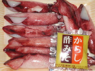 ボイル ヤリイカ 食べ 方 魚の画像は無料