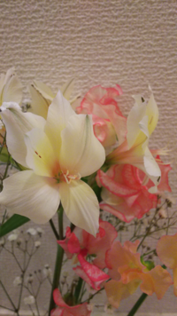 白い小さいユリのようなものは何という花ですか 本日花屋で買った Yahoo 知恵袋
