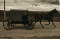 西洋の馬車は かなり楽だったのですか 馬そのものに乗るよりも 疲れなかったので Yahoo 知恵袋