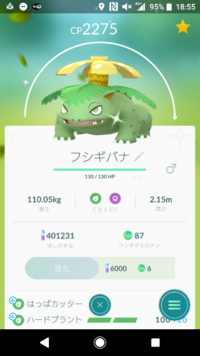 ポケモンxです ８番道路でスバメをゲットしたいのですが ポケモンxで Yahoo 知恵袋