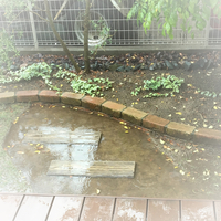 水はけの悪い土地についてです９年前くらいに芝生を張ったのですが プロの外構業者に 教えて 住まいの先生 Yahoo 不動産