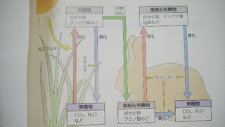 単純な有機物と有機物の違いは何ですか 有機物とは 一般に 炭素 Yahoo 知恵袋