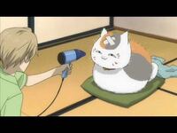 Onepieceについて デュバルはこの2年でウインクが出来るよ Yahoo 知恵袋