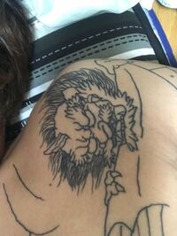 初めて刺青入れました 痒い時に服の上から少し掻いたり 寝てる時 Yahoo 知恵袋