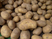 スイカの後作にジャガイモつくりは問題は無いでしょうか Yahoo 知恵袋