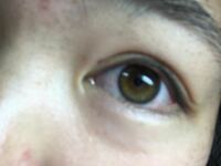 この目の色はヘーゼルですか アンバーですか ブラウンですか 光 Yahoo 知恵袋