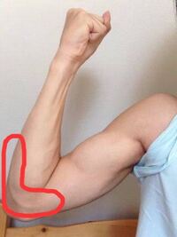 人体について 腕のひじのこの部分の血管はなぜこんなに浮き出ているんですか Yahoo 知恵袋