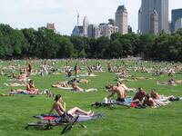 都内で日焼けしてよい公園どこですか 今年から大学生になった女子です Yahoo 知恵袋