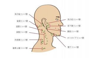 山岳 プット 焦げ 耳 介 前 リンパ 節 しこり Floridascreativecoast Org