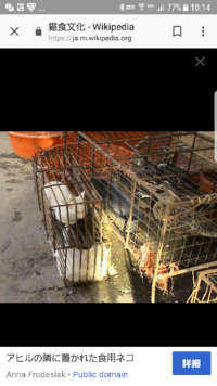 ヒプノシスマイクのキャラの名前が読めません 漢字がわからず 読み方の英語の部分 Yahoo 知恵袋