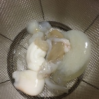 釣ったイカで 刺身で食べて一番美味しいと思ったイカは何イカですか イカ Yahoo 知恵袋