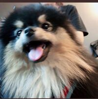 先程btsのtwitterでテテがヨンタンの写真をあげましたが 一部のarmy Yahoo 知恵袋