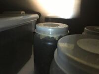 この人は誰ですか ピンクダンサー キキ さんです Ht Yahoo 知恵袋