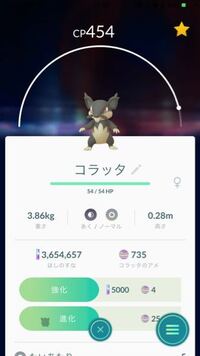 ポケモンのコラッタって可愛いですか 顔怖くないですか Yahoo 知恵袋