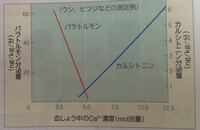 解剖学 骨形成と骨吸収についてです 特にビタミンｄについて 骨吸収 Yahoo 知恵袋