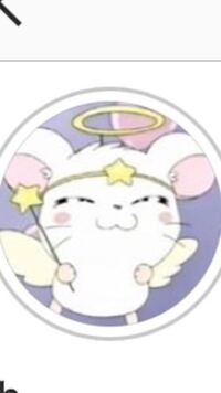 とっとこハム太郎に出てくるキャラクターのハムスターの種類は何で Yahoo 知恵袋