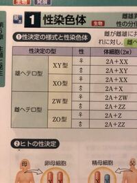 生物です 性決定と染色体のとこです Xは共通の性染色体とわかるんですが Yahoo 知恵袋