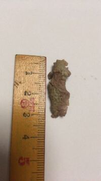 これは内臓でしょうか ケンタッキーのフライドチキンの骨にありま Yahoo 知恵袋