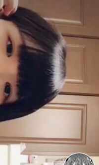 Tiktokってなんでみんなあんな恥ずかしいことをしてるんです Yahoo 知恵袋