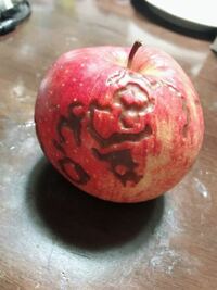りんごに寄生虫ってすみつきますか 林檎をかじっていたら中で茶色の斑点の Yahoo 知恵袋
