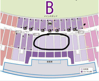 ヤンマースタジアム長居の座席表についです B2ゲートスタンドp1はだ Yahoo 知恵袋