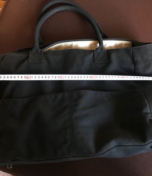 飛行機内の手荷物で、魚などは、駄目ですか？教えてください。 - 死ん 