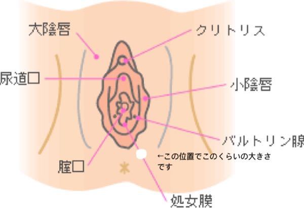 玉袋の中にしこり 知恵袋