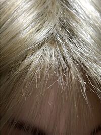 コスプレについて 中1女子 コスプレ始めようと思います 簡単なjk宅 Yahoo 知恵袋