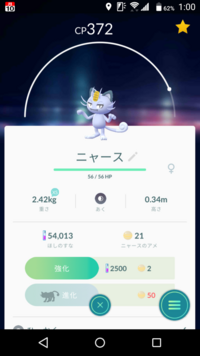 ポケモンhgssの個体値判定のいる場所ってどこですか 殿堂入り Yahoo 知恵袋