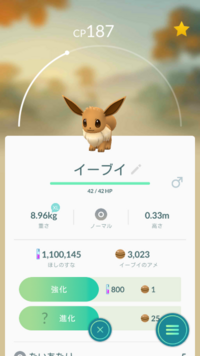 ポケモンgoイーブイを昼間エーフィに進化させるにはどうしたらいいですか 名前を Yahoo 知恵袋