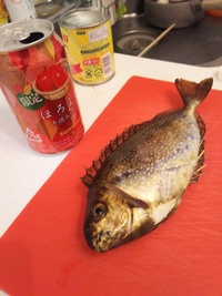 魚の寝かせ方 熟成 について質問です よく魚を釣って刺身にして食べるの Yahoo 知恵袋