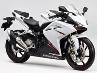 Cbr250rr赤の部分はステッカーか何かですか ステッカーだよ剥がせ Yahoo 知恵袋