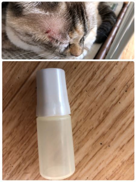 猫に人間の目薬をさしても大丈夫ですか？うちの猫の右目から目やにが 