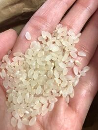 これは新米ですか 頂き物のお米です 新米だそうです でも白では Yahoo 知恵袋