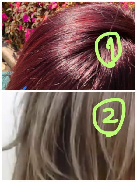 髪の毛を美容院で赤みあるブラウンで頼んだのに真っ赤にされました 写真 Yahoo 知恵袋