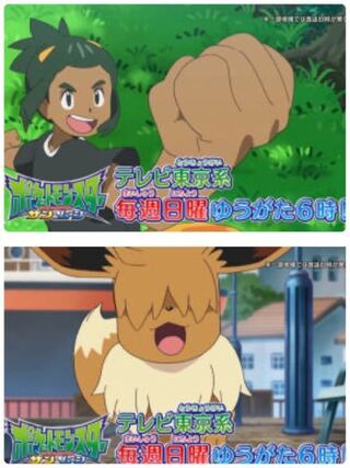 もうすぐポケモンアニメの本編に前髪の長いイーブイが登場しますが よく Yahoo 知恵袋