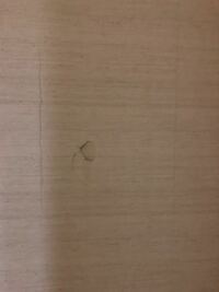 至急です壁に穴を開けてしまいました学校でイライラしてて 親と大ゲンカして 壁を蹴 教えて 住まいの先生 Yahoo 不動産