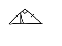 直角三角形の相似条件はなんですか 分かる方どうか教えてください 三 Yahoo 知恵袋