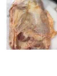 まんだいでとりもも肉モモ肉を買ったんですが切り分けていたら黒い目みたいなのがあ Yahoo 知恵袋