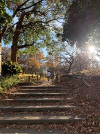 写真左下に写った緑色のオーブについて 近所の公園で撮った写真です一枚だけ Yahoo 知恵袋