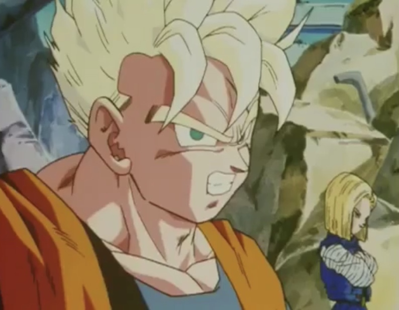 ドラゴンボールZの未来世界の孫悟飯が死んだ時、人造人間17号と18号は