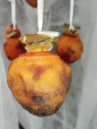 干し柿を干して10日目ですが なんか全部黒いのが出てきてますがこれはなにか気に Yahoo 知恵袋