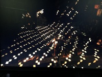 ウーパールーパー 陸上化の予兆でしょうか 画像あり 長文になります Yahoo 知恵袋